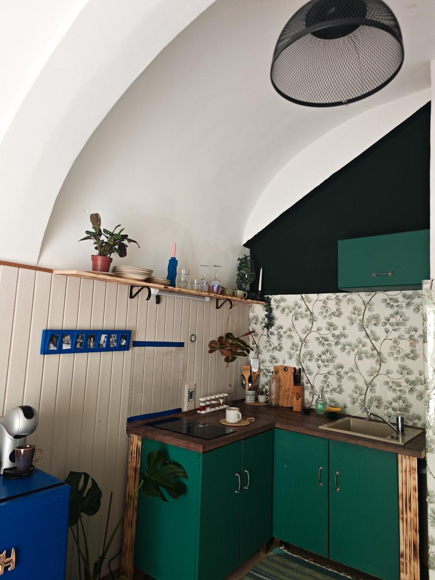 Vintage Room With Garden View บราติสลาวา ภายนอก รูปภาพ