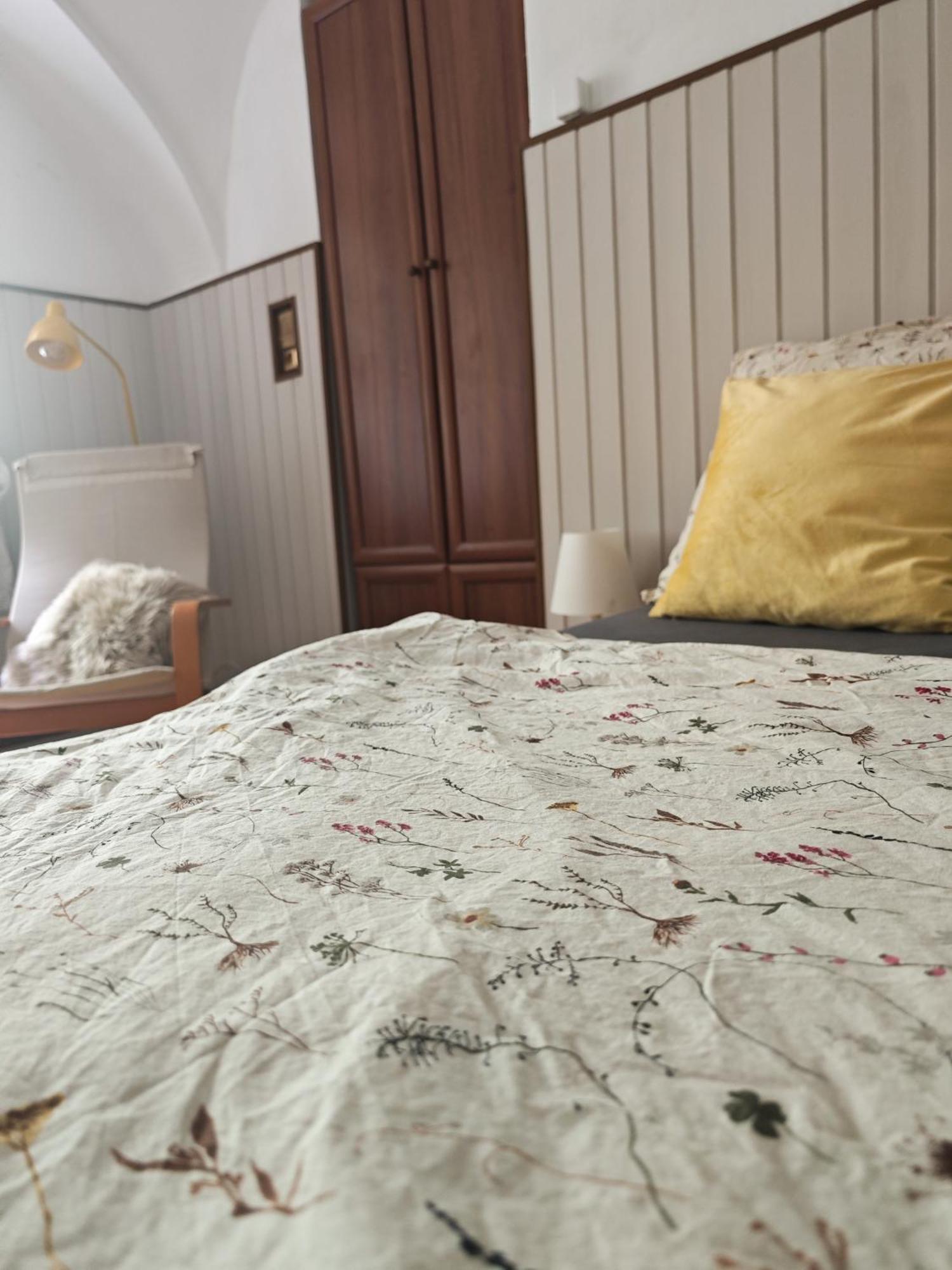 Vintage Room With Garden View บราติสลาวา ภายนอก รูปภาพ