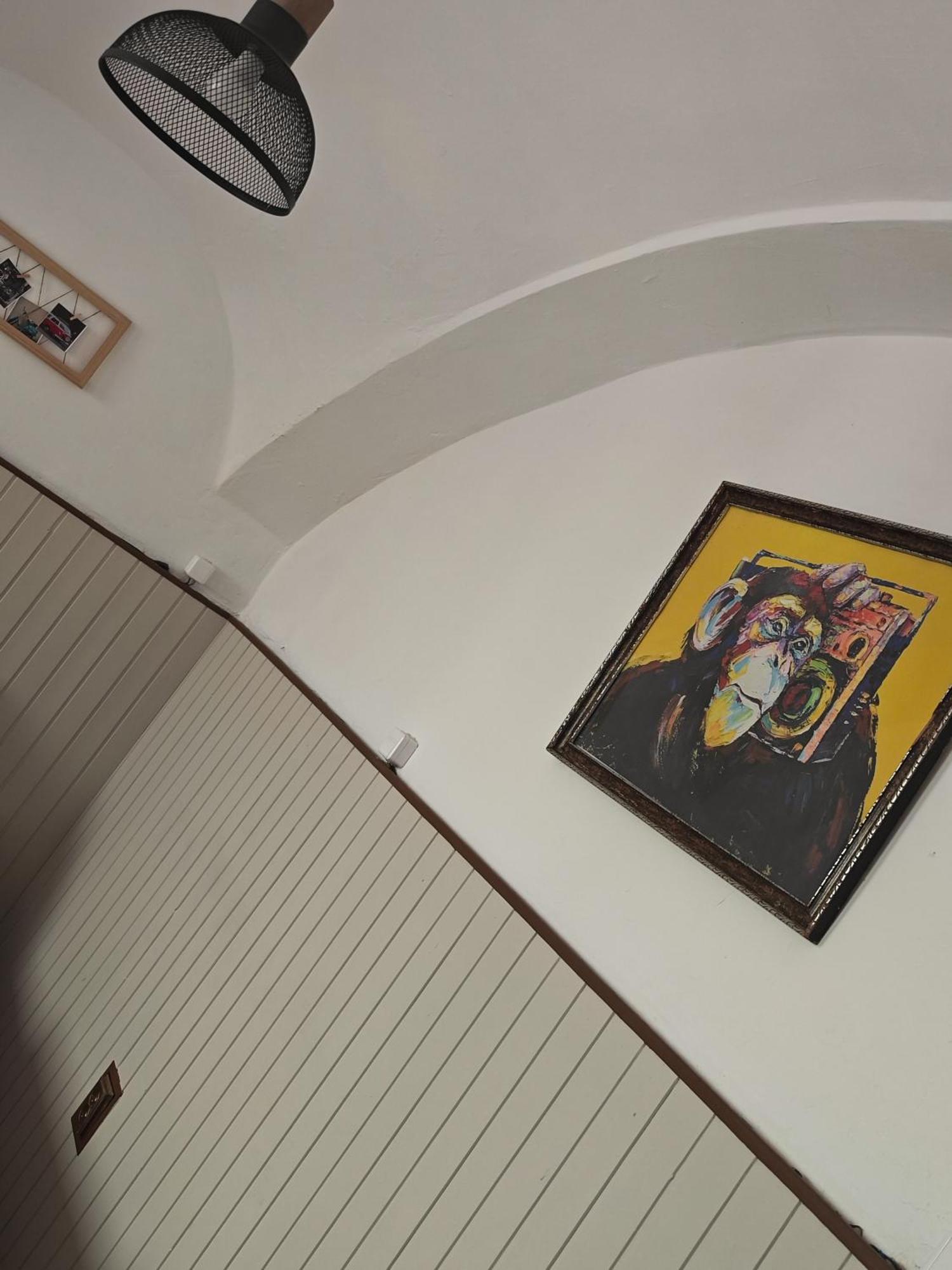 Vintage Room With Garden View บราติสลาวา ภายนอก รูปภาพ