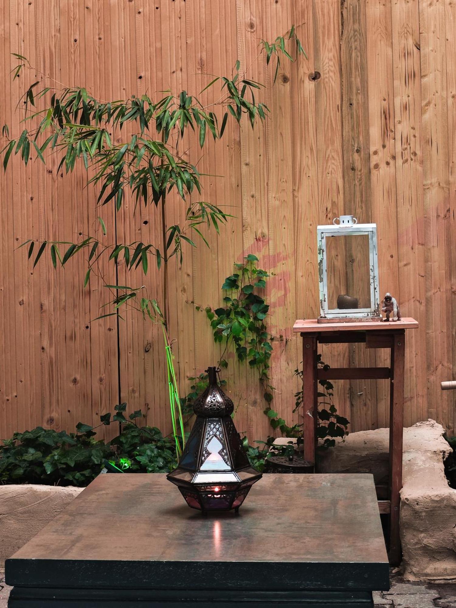 Vintage Room With Garden View บราติสลาวา ภายนอก รูปภาพ
