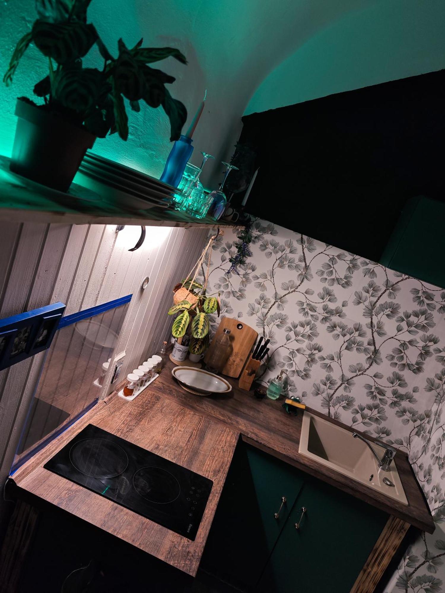 Vintage Room With Garden View บราติสลาวา ภายนอก รูปภาพ