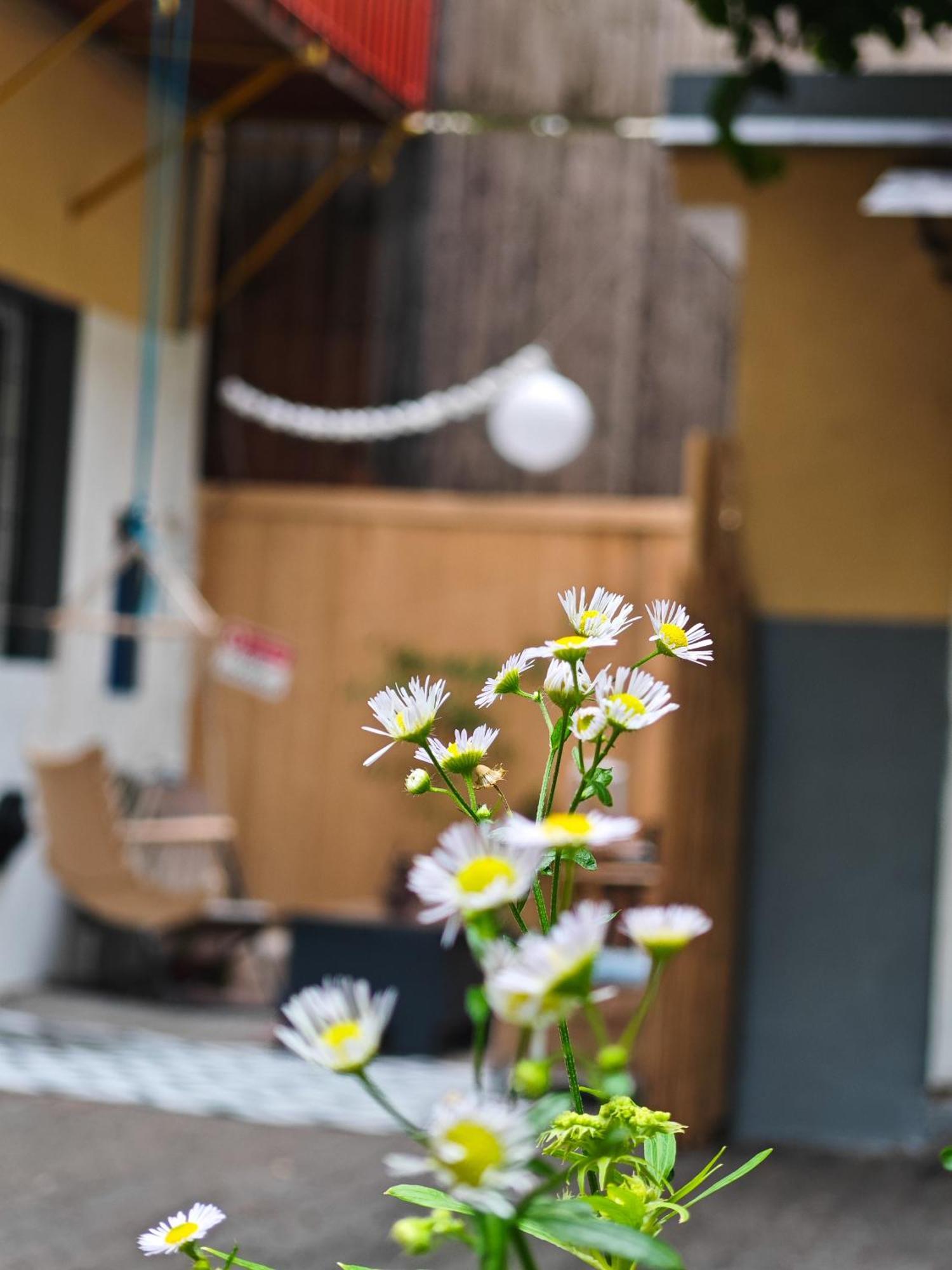 Vintage Room With Garden View บราติสลาวา ภายนอก รูปภาพ