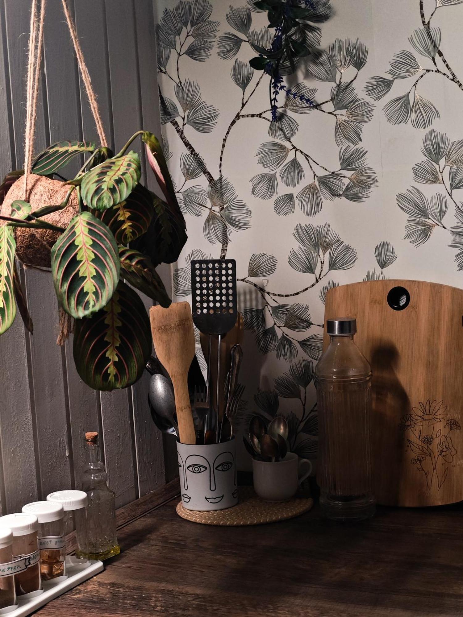 Vintage Room With Garden View บราติสลาวา ภายนอก รูปภาพ