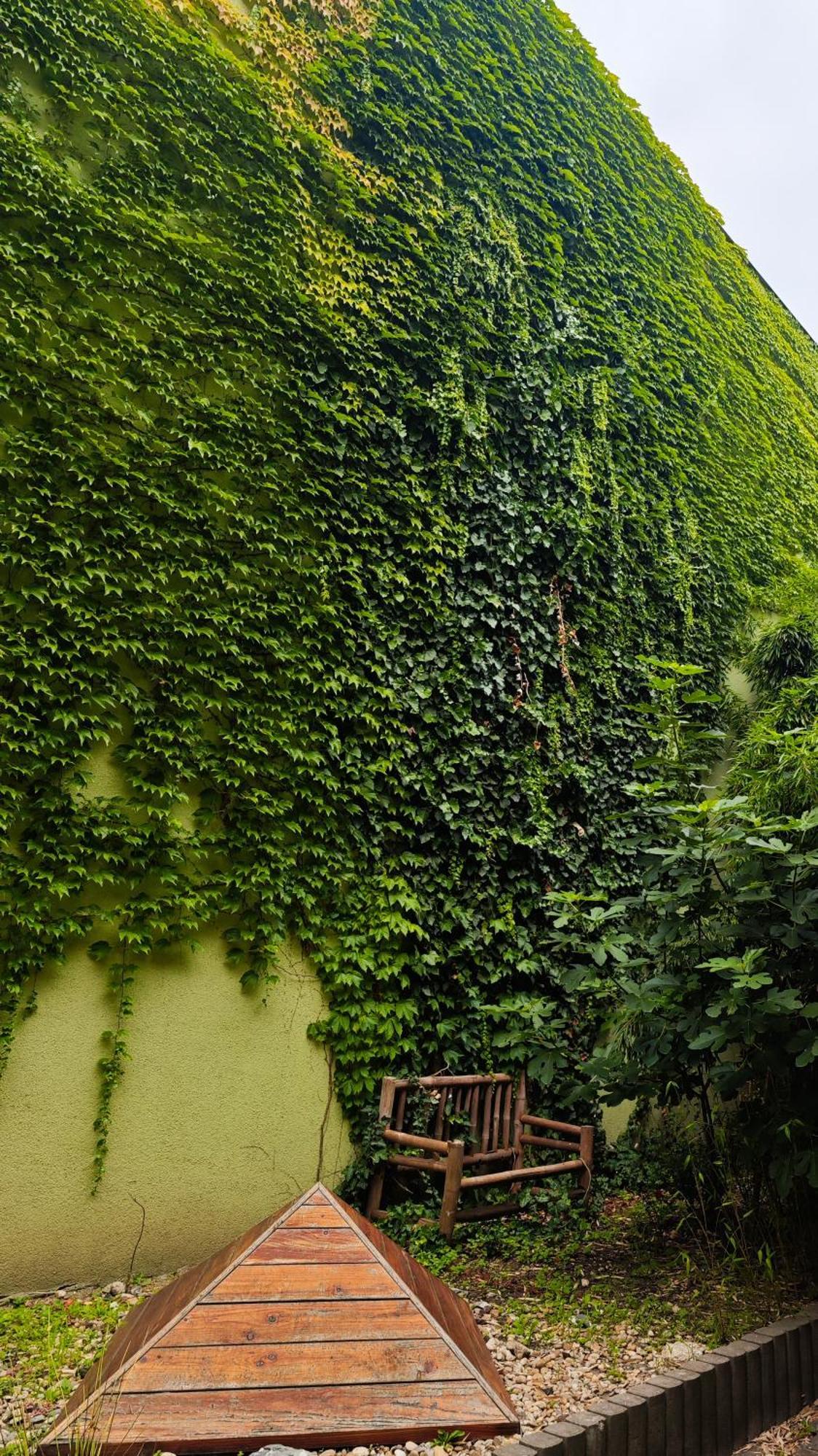 Vintage Room With Garden View บราติสลาวา ภายนอก รูปภาพ